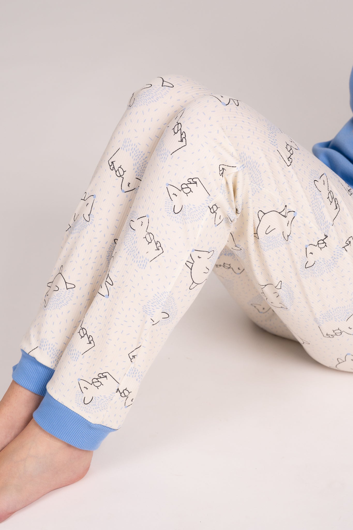 Pijama Porcupine blusa y pantalón